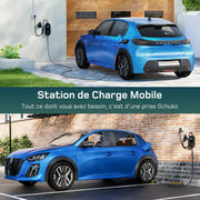 Cargador de coche eléctrico 3,68 kW [10 m, 6/8/10/13/16 A], cable de carga tipo 2 con pantalla digital LCD controlable, compatible con e-208, Spring, 500e, Model 3, Megane EV, Zoe, PHEV/EV