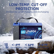 Batería LiFePO4 de 12V 100Ah, batería de litio con BMS de 100A y 15000 ciclos profundos, potencia máxima de 1280W, para autocaravanas, sistemas solares, embarcaciones, hogar y camping (2 unidades de 12.8V 100Ah)