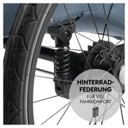 hauck Remolque de bicicleta y cochecito Dryk Duo Plus con suspensión, para 2 niños (6-48 meses), incluye barra de tiro, rueda de cochecito, bandera y luz LED, plegable, altura ajustable, maletero XL (verde oscuro)