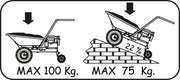 Eurosystems Carretilla motorizada con motor Briggs y Stratton
