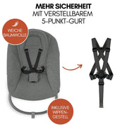 Hauck Beta+ Trona con set para recién nacidos y hamaca premium - Gris oscuro | Trona de madera evolutiva con ruedas desde el nacimiento hasta los 90 kg | incluye adaptador para recién nacidos, bandeja para comer y cojín de asiento