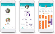 Sure PetCare | Gatera con microchip conectada SureFlap con Hub, tecnología DualScan, compatible con placa de identificación por radiofrecuencia y microchip, control por aplicación