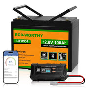 ECO-WORTHY LiFePO4 Bluetooth de 12V 100Ah con cargadores de 12/24V 20A, batería de litio de 12V 100Ah con protección BMS contra bajas temperaturas para autocaravanas, barcos y caravanas