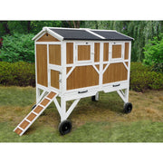 Gallinero para gallinas camperas