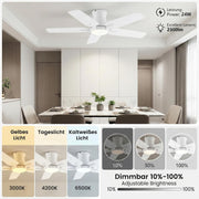 Ventilador de techo con iluminación, 122 cm, con mando a distancia, motor de CC silencioso y reversible, 3 temperaturas de color con memoria, regulable, 6 velocidades, temporizador, para dormitorio, blanco