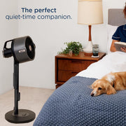 Ventilador nebulizador Shark FlexBreeze Pro – Interior y exterior, nebulización integrada, base de sobremesa, con o sin cable, hasta 24 horas de batería, oscilante, color antracita, FA302 (versión 2025)