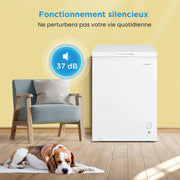 RCC146WH2EU(E) Congelador horizontal independiente 143L convertible en congelador/refrigerador, compresor inverter, 4 estrellas, apto para dependencias, garajes y cobertizos, blanco [Clase energética E]