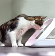 Sure PetCare | Comedero automático con microchip SureFeed Connect, compatible con etiquetas de identificación por radiofrecuencia, control por aplicación móvil, blanco