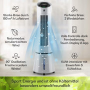Klarstein 4 en 1: Enfriador de aire inteligente, ventilador, humidificador e ionizador I Depósito de agua de 6 L, oscilación, 30 W, 210 m³/h, temporizador I Aire acondicionado sin tubo de escape, aire acondicionado portátil, negro-oro rosa